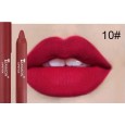 Charming Matte Lipstic أحمر شفاه مات درجة 10