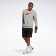 Reebok Men's Identity Fleece Crew Sweatshirt- Grey