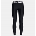 Under Armour Women's HeatGear® Leggings