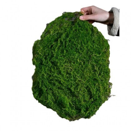 قطعة انجيل لتزيين القوار