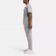 Reebok Mens' Identity Small Logo Fleece Joggers-Grey