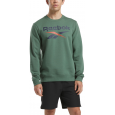 Reebok Mens' Identity Big Logo Sweatshirt-Green