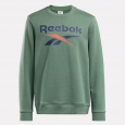 Reebok Mens' Identity Big Logo Sweatshirt-Green