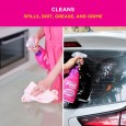 منظف الزجاج والنوافذ بخل الورد 750مل من The pink Stuff