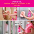 منظف الزجاج والنوافذ بخل الورد 750مل من The pink Stuff