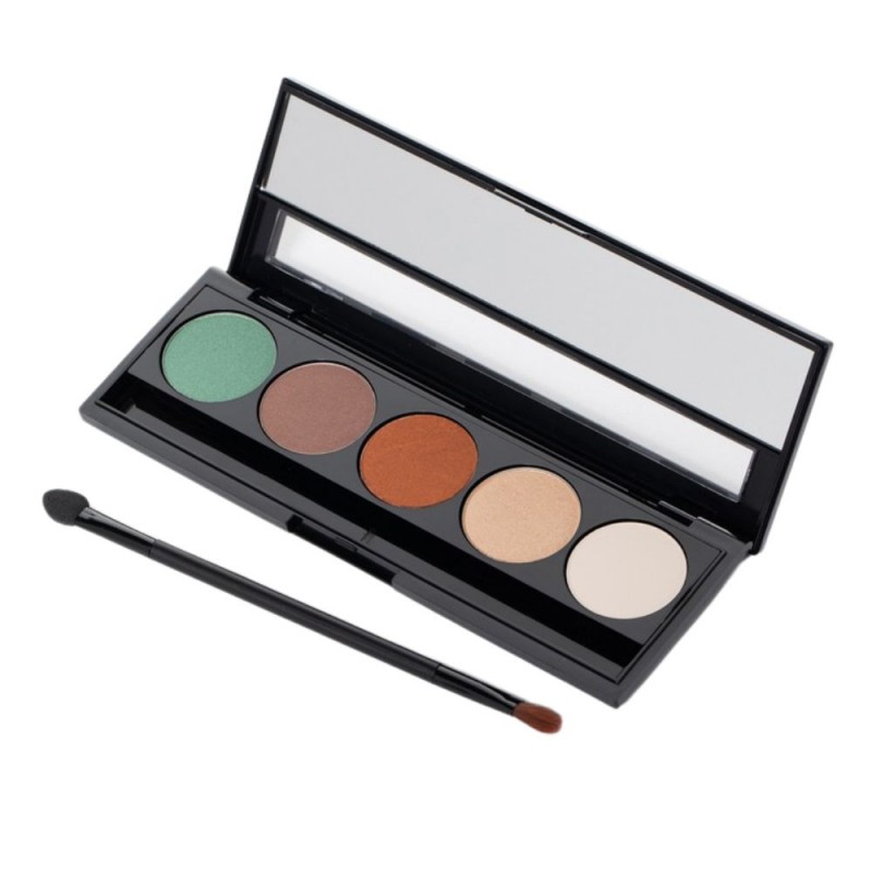 pierre cardin paris palette eyeshadow - باليت ظلال العيون من بيير كاردن درجة 808 Spirit of november