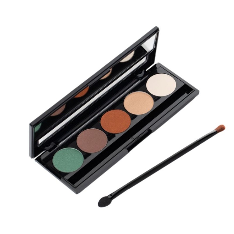 pierre cardin paris palette eyeshadow - باليت ظلال العيون من بيير كاردن درجة 808 Spirit of november