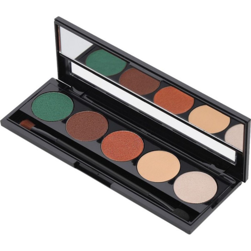 pierre cardin paris palette eyeshadow - باليت ظلال العيون من بيير كاردن درجة 808 Spirit of november