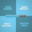 Evlution Nutrition Creatine 5000 300G 60 Serving