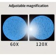 مجهر مختبر لطلاب المدارس محمول باليد ويعمل بالبطارية مع ضوء LED نسبة تكبير تبلغ من 60- 120 يوفر هذا المجهر صورا واضحة ومفصلة للأشياء الصغيرة