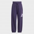 Adidas Kids' Essentials Joggers Set - Purple