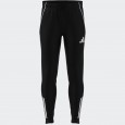 adidas Men's Tiro 25 Competition Training Pant - Black