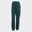 adidas Womens' Stadium 3-Stripes Track Suit - Aurora Ivy
