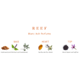 Reef Blanc Ash EDP For Unisex 150ml ريف بلانك اش