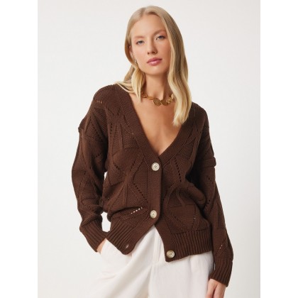 بلوز هاينيك بني