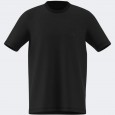 adidas Men's TERREX MOUNTAIN GRAPHIC T-SHIRT- Black