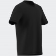 adidas Men's TERREX MOUNTAIN GRAPHIC T-SHIRT- Black