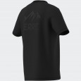 adidas Men's TERREX MOUNTAIN GRAPHIC T-SHIRT- Black