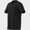 adidas Men's TERREX MOUNTAIN GRAPHIC T-SHIRT- Black