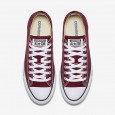 CONVERSE All Star OX