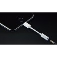 lightning to headphone jack