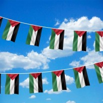 علم فلسطين حبل 20 علم في 6 متر (15*21 العلم)