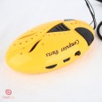 MP3 FM Digital player