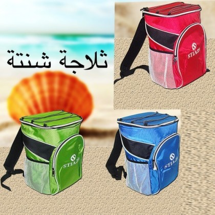 ثلاجة شنتة