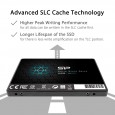 Silicon Power SSD 3D NAND A55 SLC Cache Performance Boost SATA III 1T