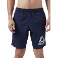 Reebok Workout Shorts