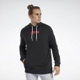 Reebok TRAINING ESSENTIALS LINEAR LOGO HOODIE