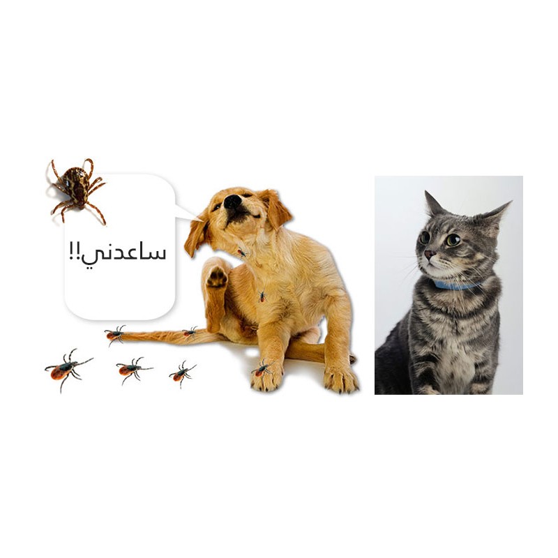طوق حيوانات لابعاد الحشرات ( 40 سم ) للكلاب طوق حيوانات لابعاد الحشرات ( 40 سم ) للكلاب