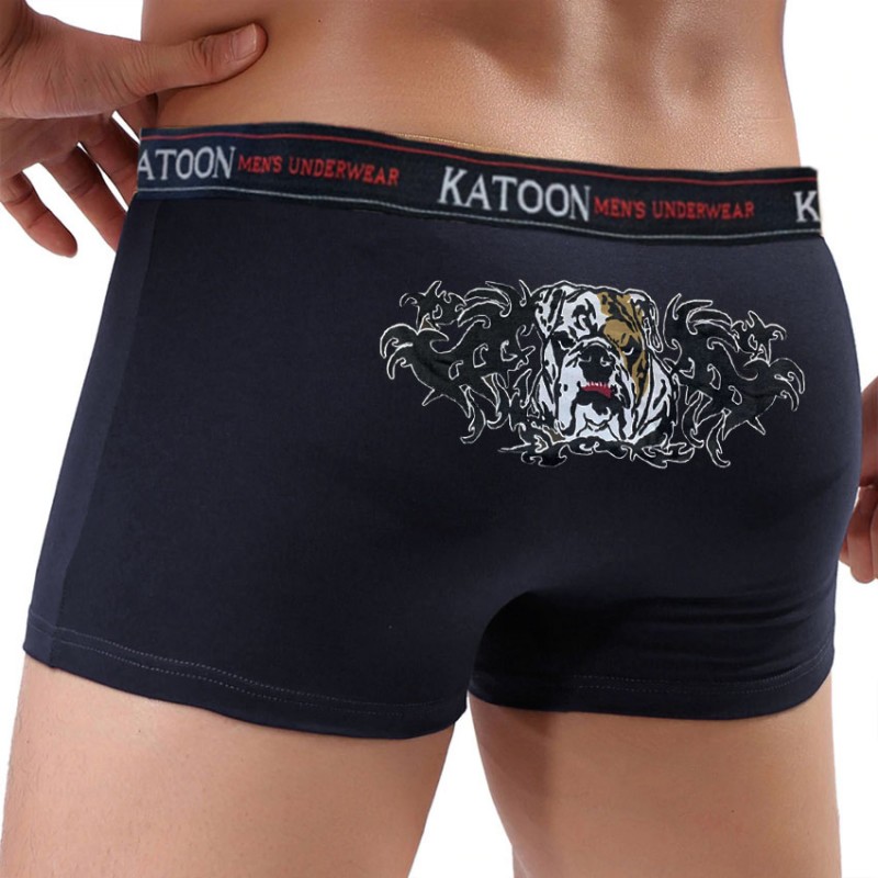 بوكسر شبابي KATOON بوكسر شبابي KATOON