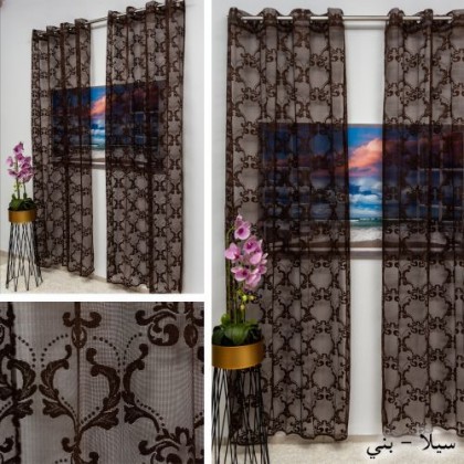 برادي سيلا بني