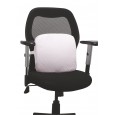 Flamingo Memmory Foam Back Rest(Without Stand)