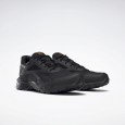 Reebok RIDGERIDER 5 GTX