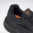 Reebok RIDGERIDER 5 GTX