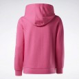 Reebok BIG INTL REEBOK OUTLINE PULL O