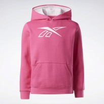 Reebok BIG INTL REEBOK OUTLINE PULL O
