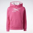 Reebok BIG INTL REEBOK OUTLINE PULL O