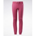 Reebok BIG INTL REEBOK LOGO JOGGER