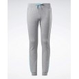 Reebok BIG INTL REEBOK LOGO JOGGER