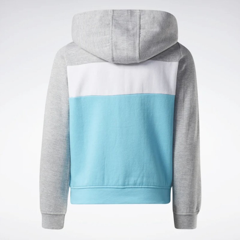 Reebok BIG INTL REEBOK COLORBLOCK HOO