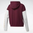 Reebok TE Linear Logo FL Fullzip