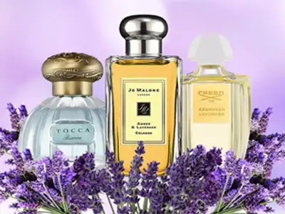 Lavender Perfumes Cover Image