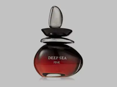 Palquis Perfumes Cover Image