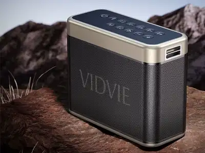 VIDVIE Cover Image
